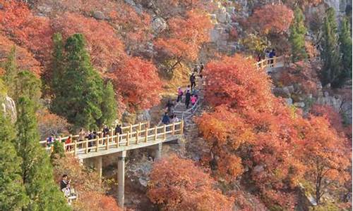 临朐石门坊风景区_临朐石门坊风景区电话