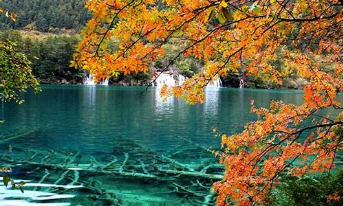 厦门到四川九寨沟自由行_厦门到九寨沟机票查询